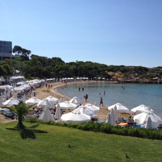 Queen Aphrodite Hotel Karpasa Dış mekan fotoğraf